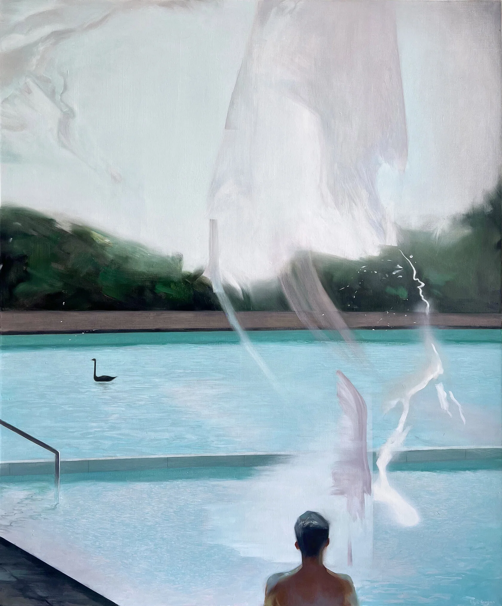 Swan