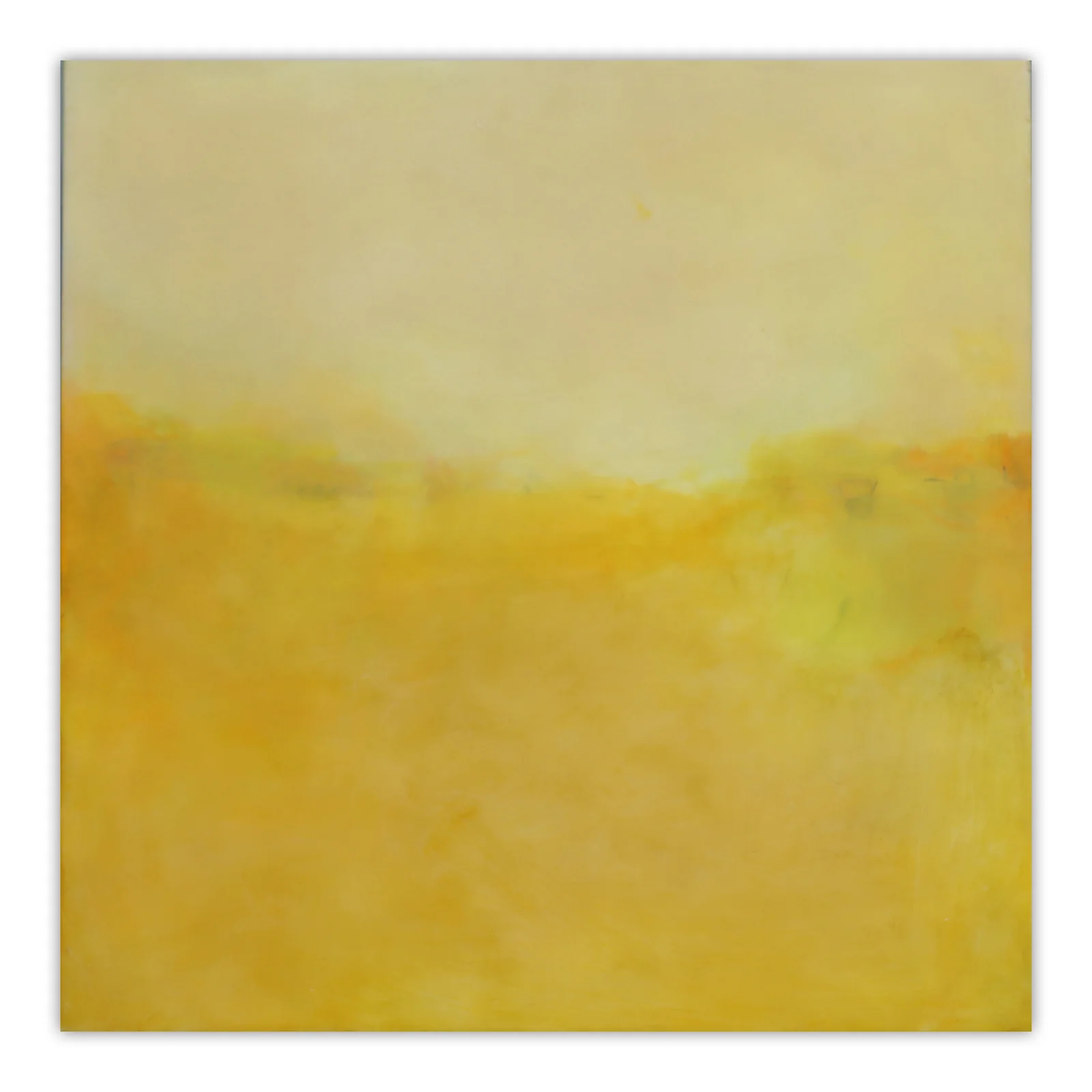 The Summer Sun
