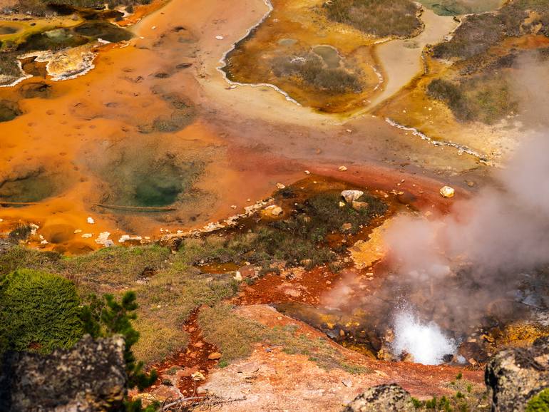 Zen 1 - Yellowstone