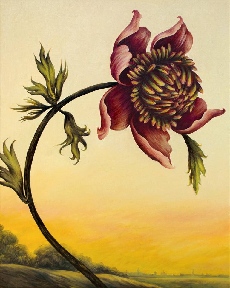 "Anemone"